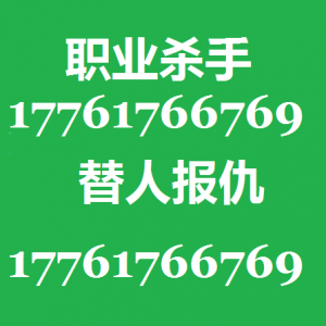 雇佣专业打手帮忙复仇了事17761766769